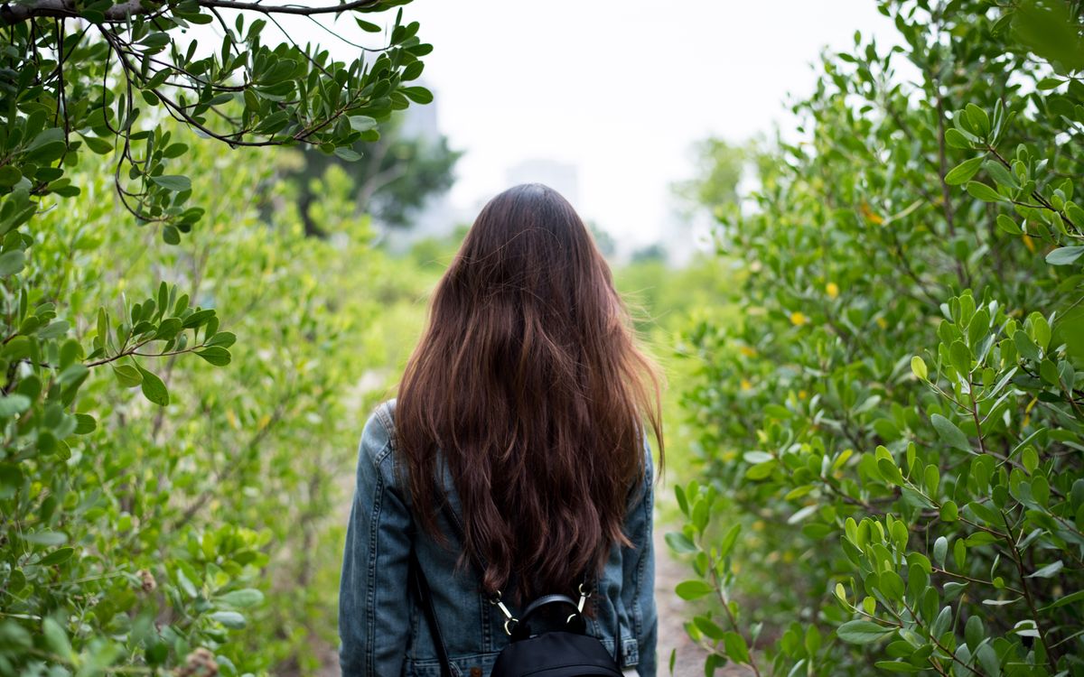 Back view of a woman walking down a lush forest path in spring, surrounded by vibrant green leaves.